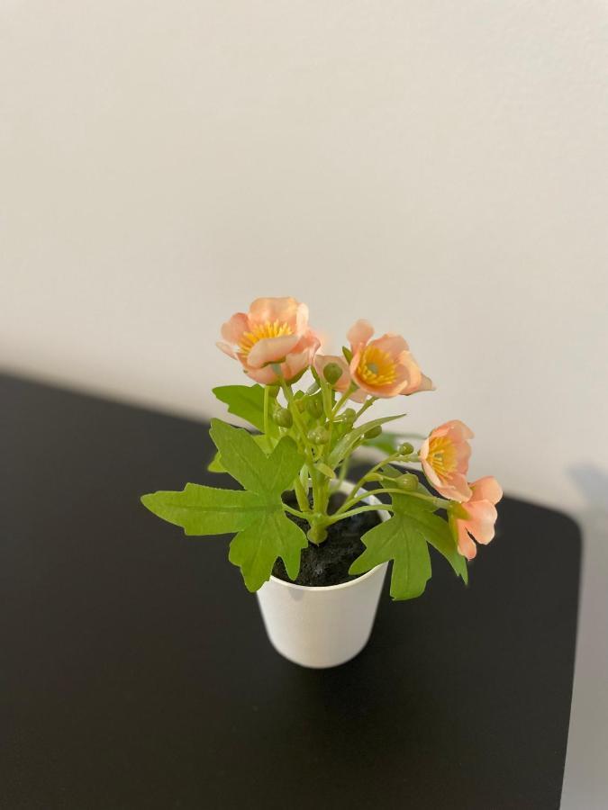 Mr Ferienwohnung - Wohnung Emma Schellerten Buitenkant foto